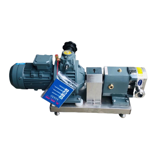 Stainless Steel High Suction Head Variable Speed Mobile Gear Pump with Filter