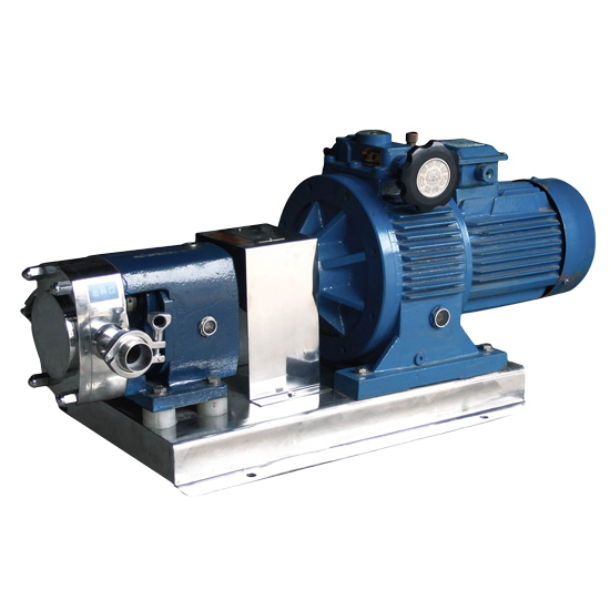 Stainless Steel High Flow Rate Variable Speed 0.55kw Positive Gear Lobe Pump