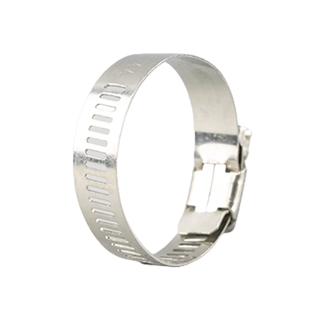 Adjustable Sanitary Stainless Steel Hose Worm Gear Clamp 