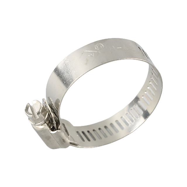 Sanitary Stainless Steel Spiral Worm Drive Pipe Shrink Clamp
