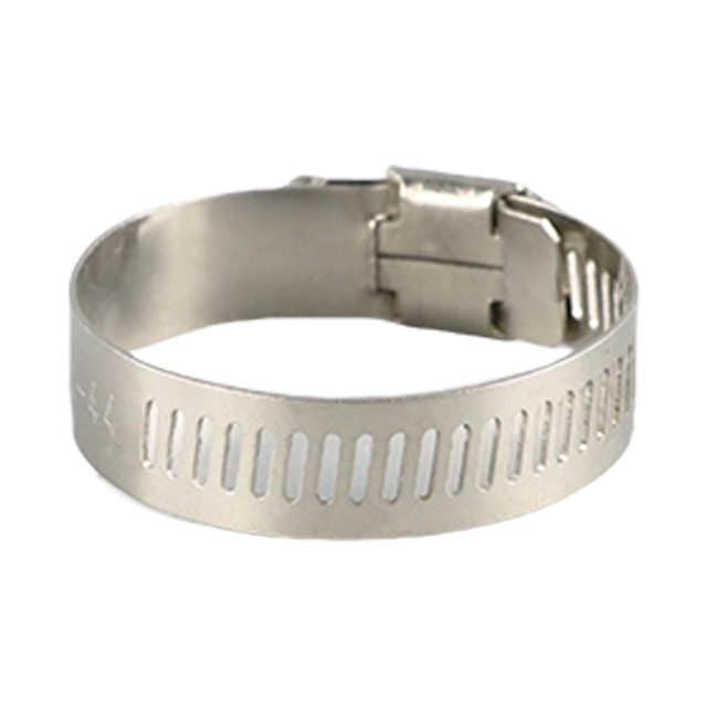 Sanitary Stainless Steel High-Torque Worm Gear Pipe Rim Fastener Clamp
