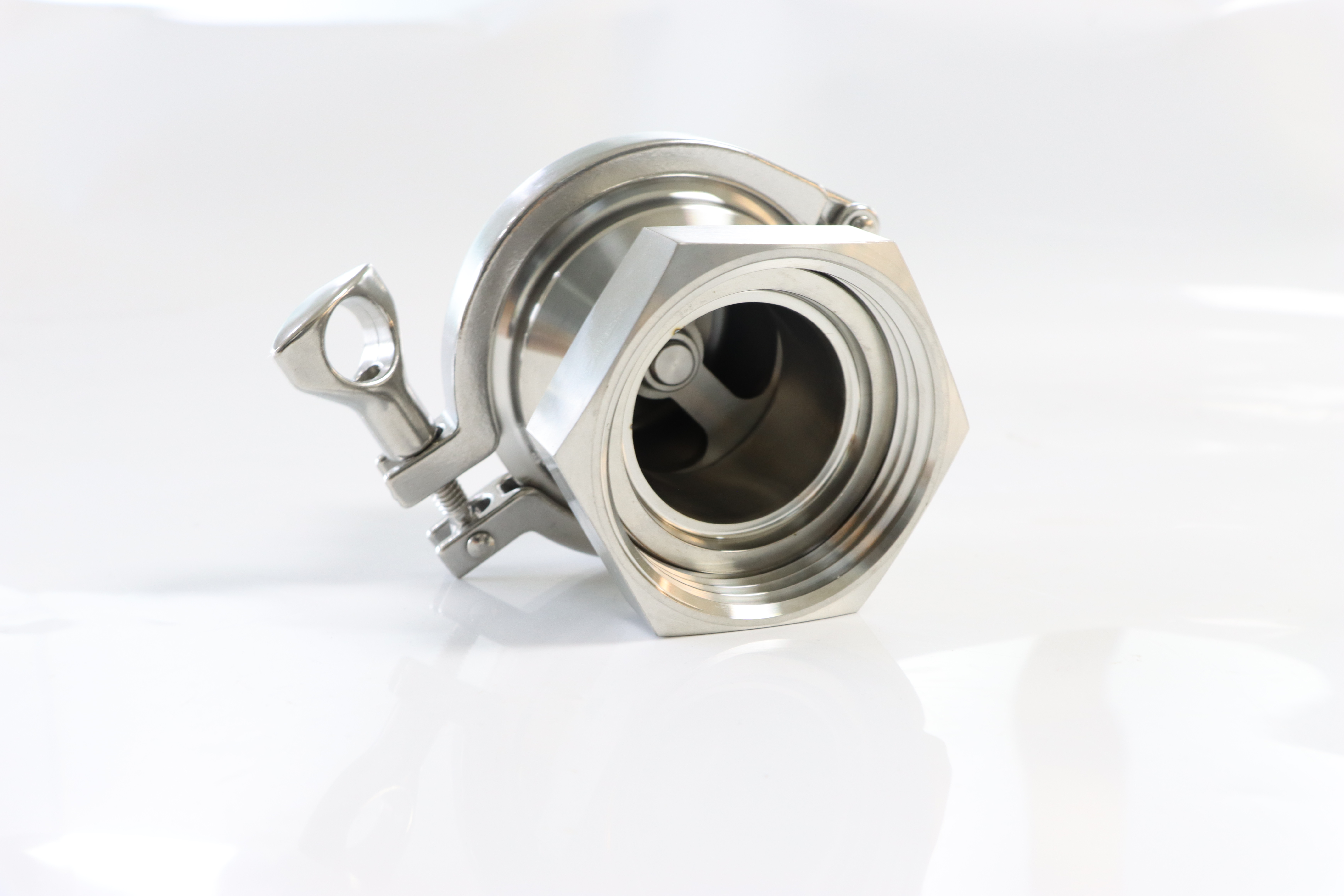 Sanitary Stainless Steel Union swing wafer Check Valve