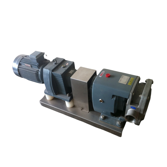 Stainless Steel Horizontal in-Line 11kw Rotor Rotary Lobe Pump with Butter